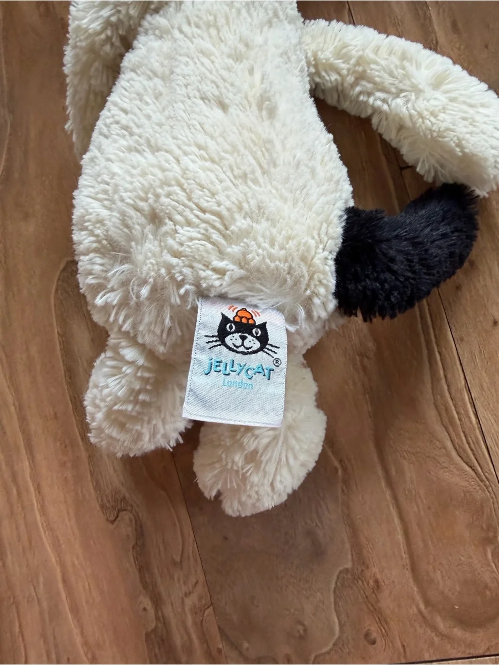 Jellycat bashful dog